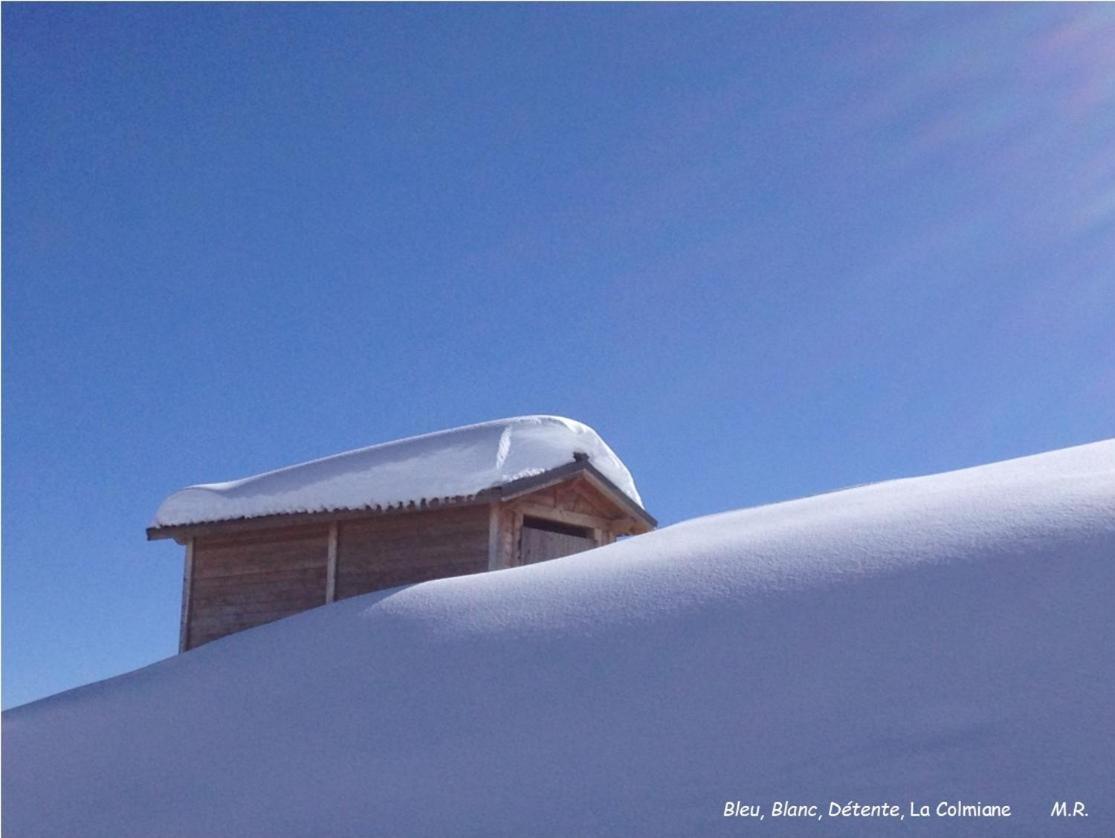 Stella Alpina Bed & Breakfast Rimplas Bagian luar foto