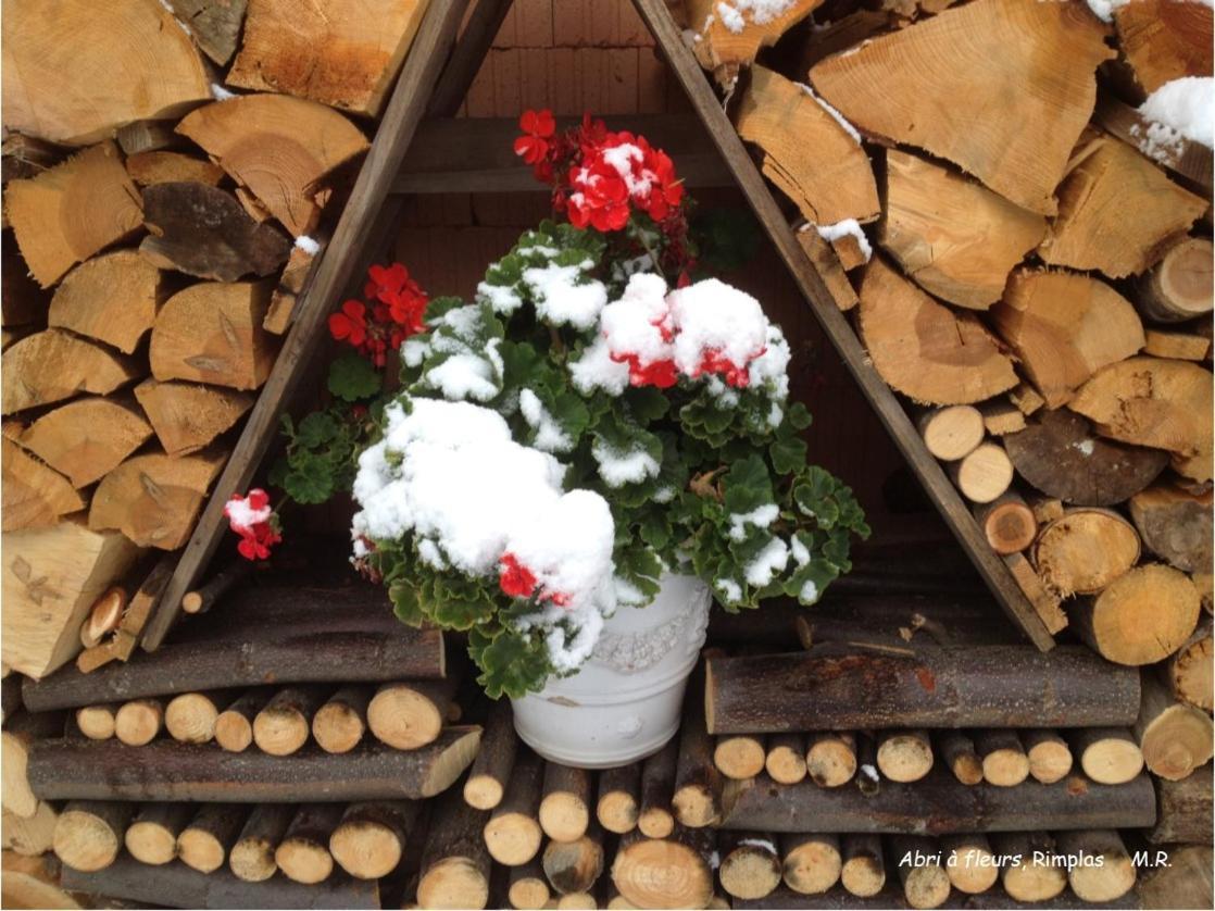 Stella Alpina Bed & Breakfast Rimplas Bagian luar foto