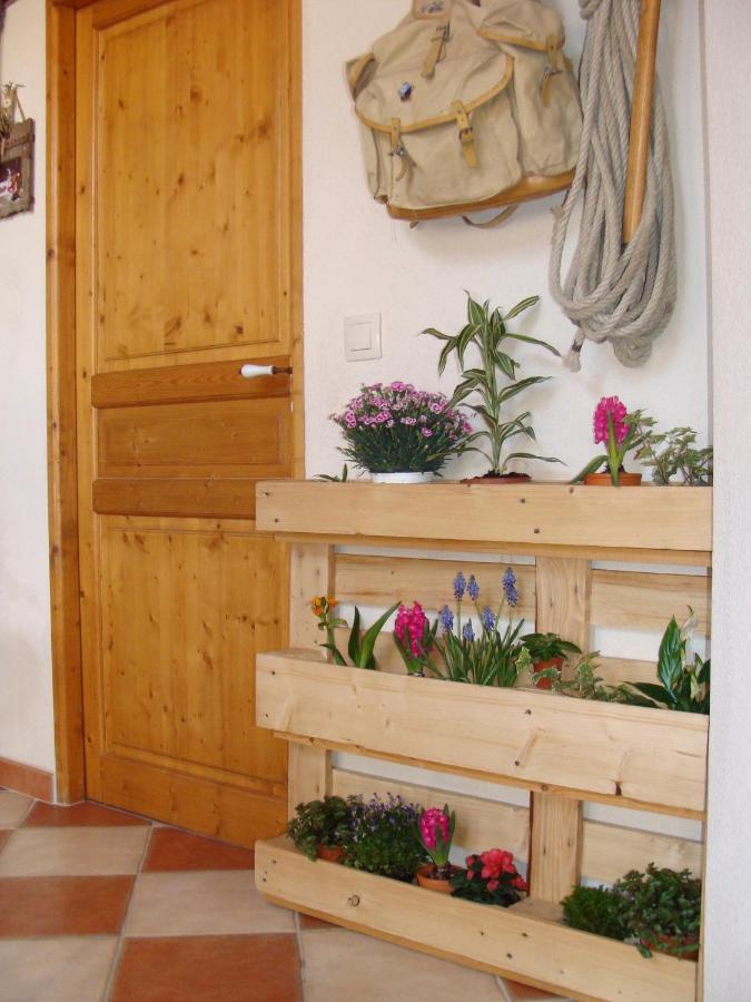 Stella Alpina Bed & Breakfast Rimplas Bagian luar foto
