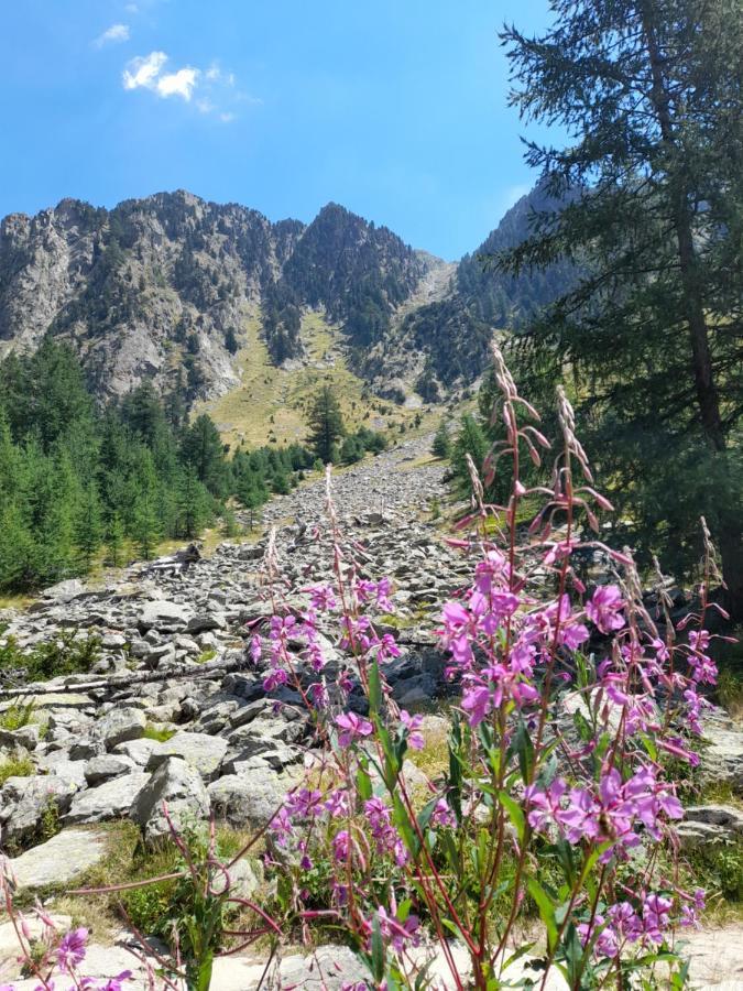 Stella Alpina Bed & Breakfast Rimplas Bagian luar foto